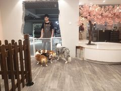 -浣熊柯尔鸭土拨鼠·电玩咖
