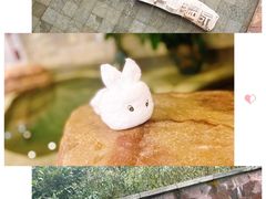 -天目湖涵田半山温泉