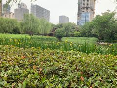-木塔寺遗址生态公园