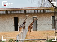 -石家庄市动物园