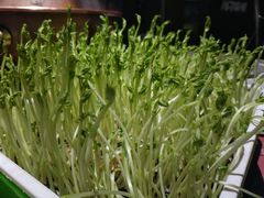 -番食园鲜食火锅(高新店)