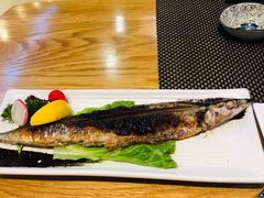-樱の千渡日式料理·铁板烧•烧鸟(金盛田广场店)
