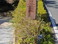 -宁海安岚·南溪阁全日餐厅