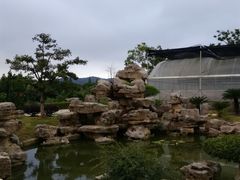 -呼吸森林·生态农庄农家乐私房菜