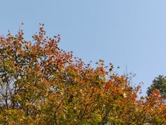 -白塘生态植物园