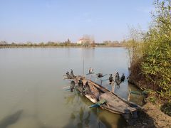 -池杉湖湿地公园