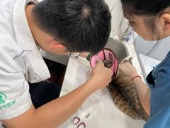 -瑞派动物医院·绝育·犬猫全科·预防医学(光景江南中店)