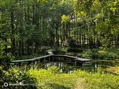 -杭州植物园