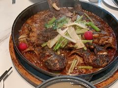 -老板恋上鱼(高新万达店)