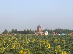 -君乐宝优致牧场