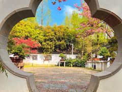 -苏州上方山国家森林公园