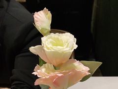 -斯比特花园西餐厅(大丸百货店)