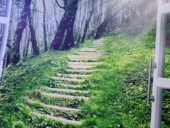 -仪雅阁·泡浴SPA养生馆