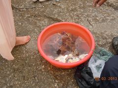 -日照灯塔风景区