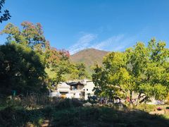 -塔川景区