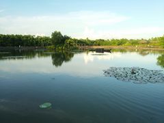 -大湾区中央湿地公园