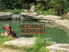 -上海野生动物园