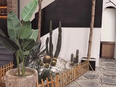 -桉树林A coffee 森林餐厅(三圣乡店)