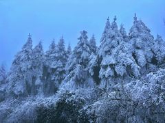 -峨眉山风景名胜区