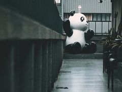 -背包十年青年旅舍(成都太古里春熙路店)
