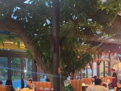 -海岛八号龙虾烧烤田鸡(蓝天路总店)