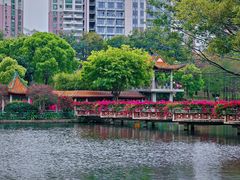-深圳龙潭公园