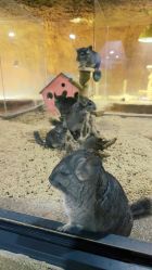 -酷嗒动物文化乐园(cutezoo西溪乐天城店)