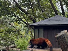 -昆明动物园