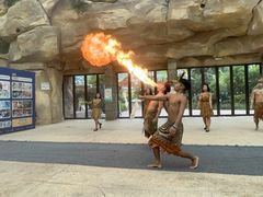 -杭州开元森泊度假乐园