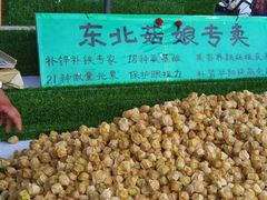 -南戴河海滨市场