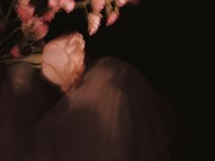 -中田健身工作室(嘉定江桥店)