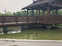 -浦鸿会游泳健身中心·Ambassy Club PD(金桥碧云国际社区店)
