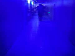-白鹤梁水下博物馆