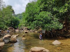 -广州白江湖森林公园