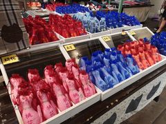 -猫咪博物馆(顶澳仔猫街店)