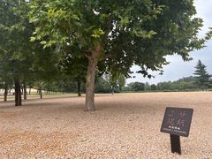 -汉长安城未央宫国家考古遗址公园