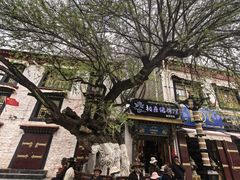 -古树酸奶(八廓南街店)