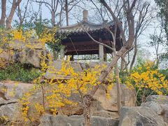 -济南大明湖景区