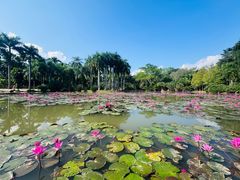 -中国科学院西双版纳热带植物园