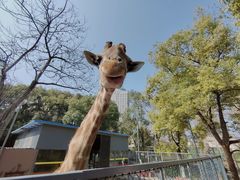 -荆州中山公园动物园