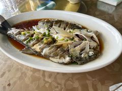 -晓琦农家菜馆·地道农家菜