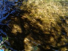 -水磨沟公园