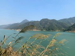 -羚羊峡古栈道森林公园