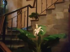 -怡泰SPA·泰疗按摩(徽宁路店)