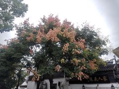 -湾里人家(旺山景区店)