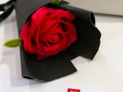 -乐纯(苹果社区店)