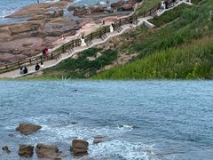 -小麦岛公园