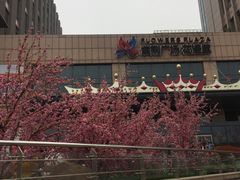 -紫荆广场·花漫里