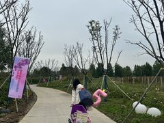 -圣露庄园·露营·烤肉·亲子