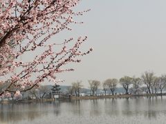 -颐和园